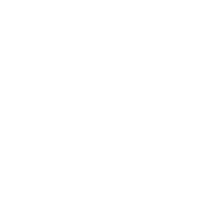 Programování webových stránek